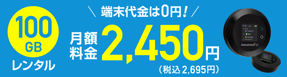 ギガWi-Fi100G2450円の画像